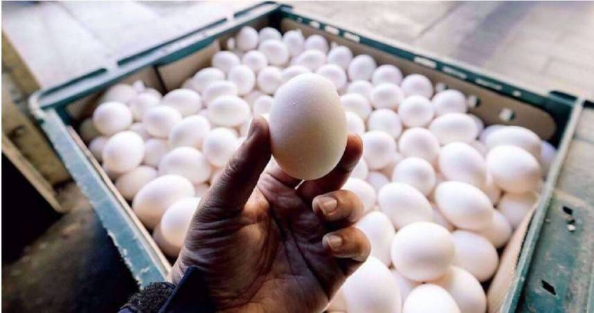 食藥署將與農業部合作輔導洗選蛋業者3天。（示意圖／報系資料照）